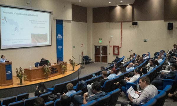vid enfermedades de la madera CICESE