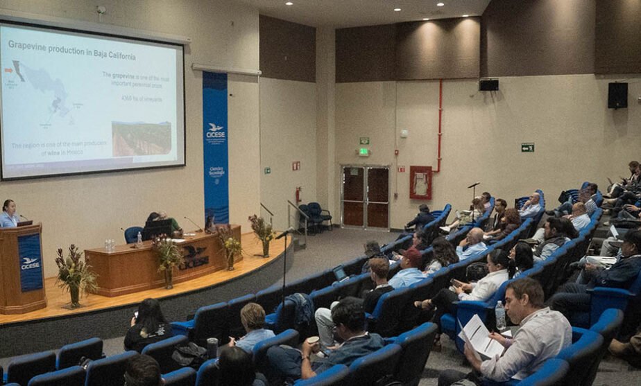 vid enfermedades de la madera CICESE