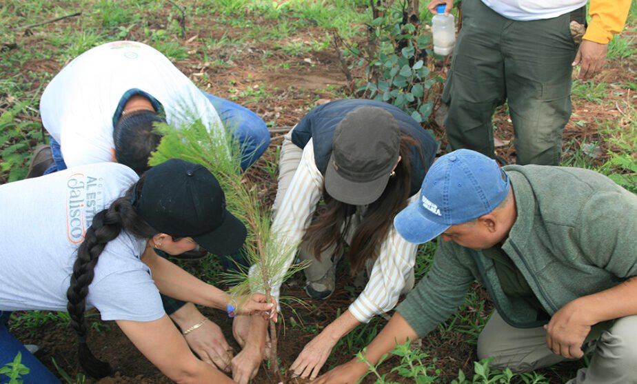 AGROINDUSTRIA TEQUILERA REFORESTA