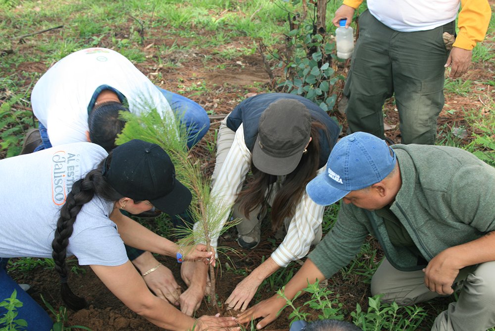 AGROINDUSTRIA TEQUILERA REFORESTA