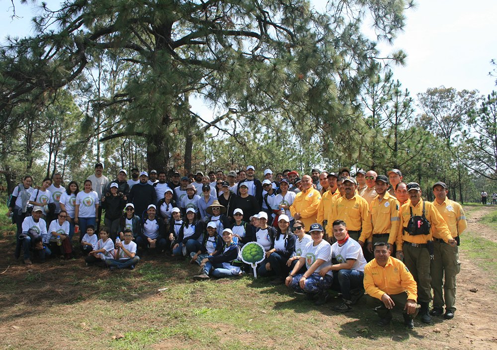 AGROINDUSTRIA TEQUILERA REFORESTA 1