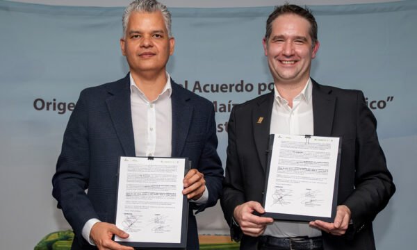 convenio maíz amarillo