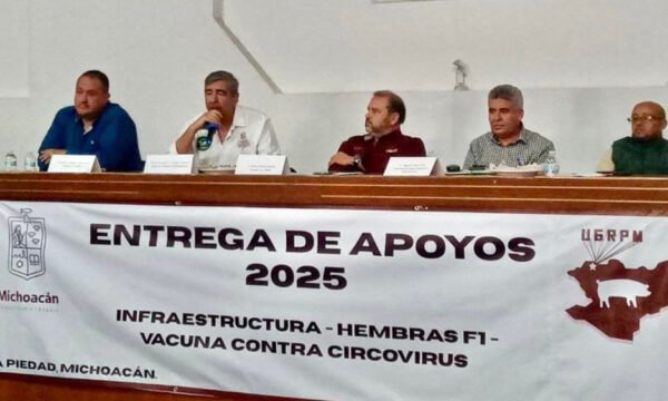 circovirus porcino vacunas