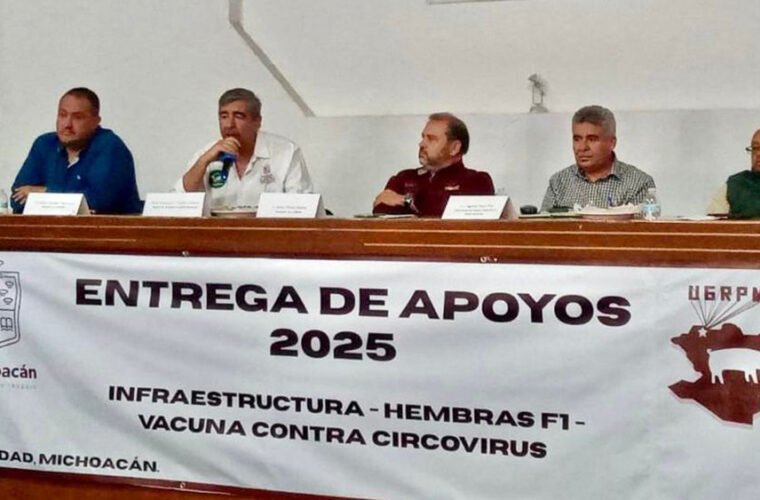 circovirus porcino vacunas