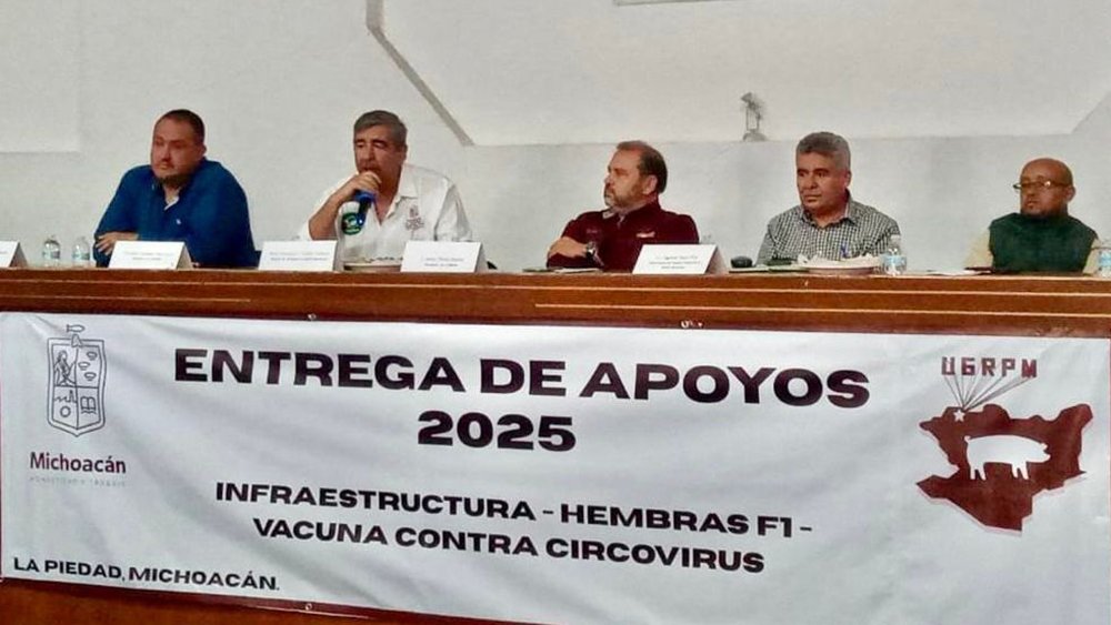 circovirus porcino vacunas
