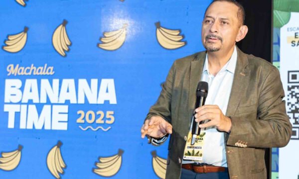 banano sigatoka negra