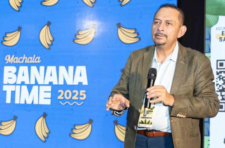 banano sigatoka negra