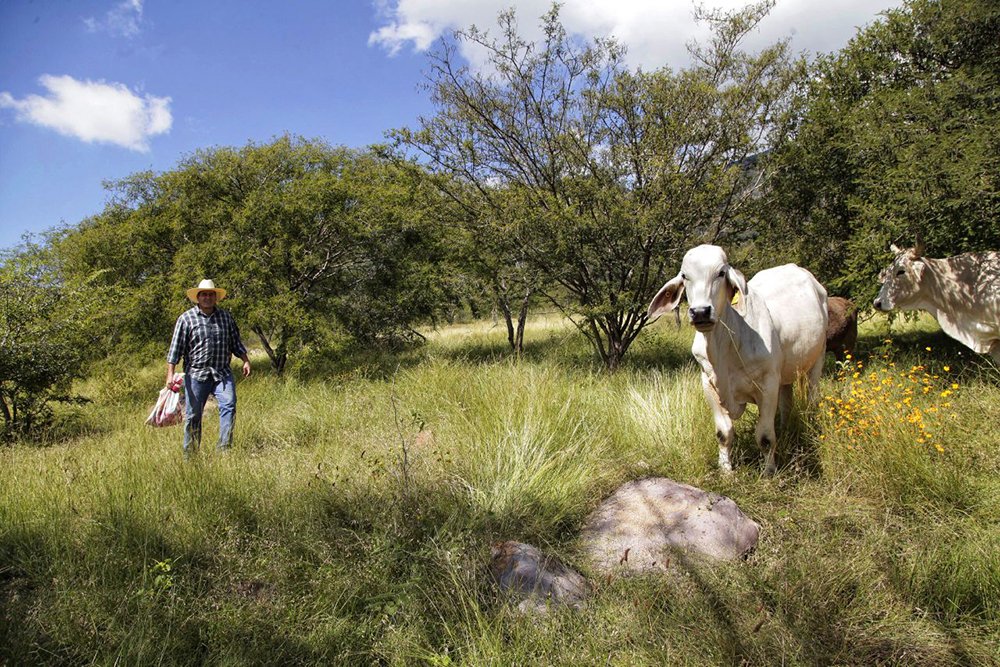 CAMBIO CLIMÁTICO LOS ALTOS DE JALISCO