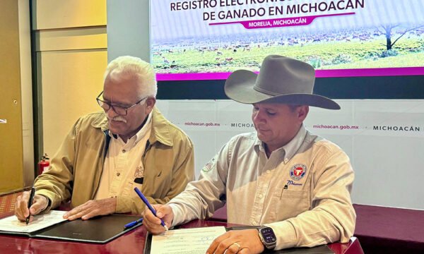 Registro Electrónico de Movilización ganado Michoacán