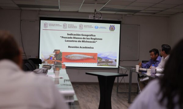 Pescado blanco de Pátzcuaro Indicación Geográfica 1