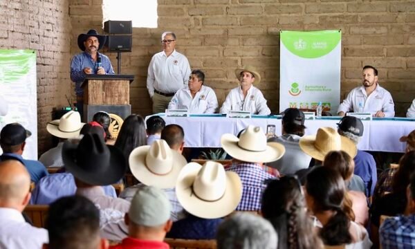 Raicilla Jalisco apoyos