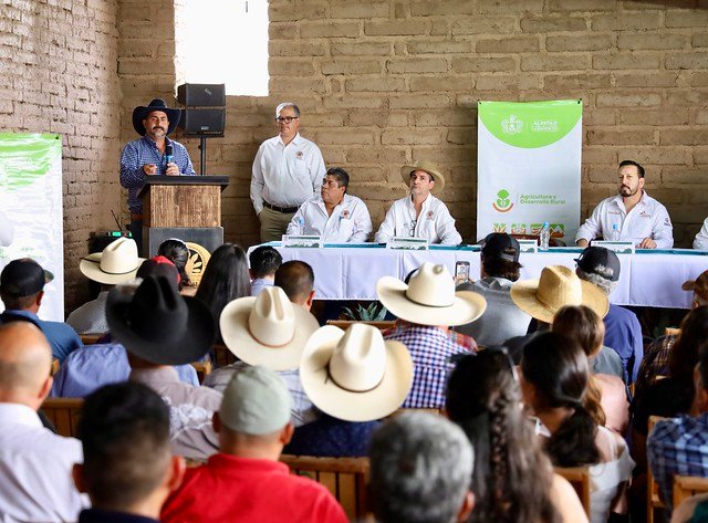 Raicilla Jalisco apoyos