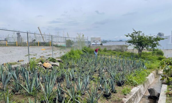 Impacto ambiental agricultura Jalisco