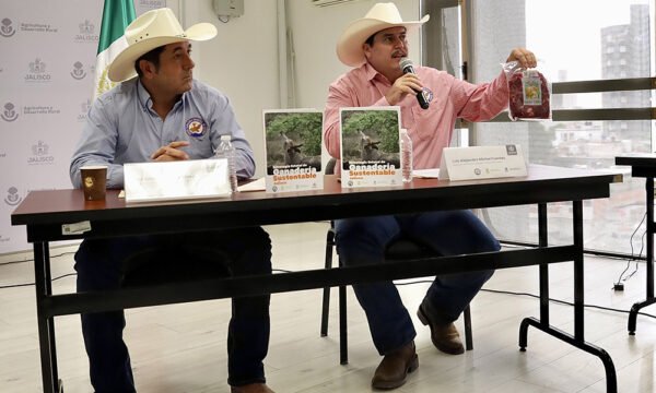 carne sin deforestación jalisco 1