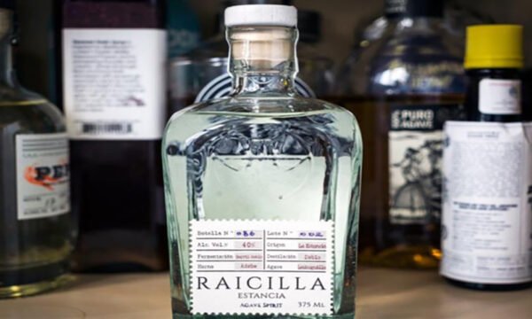 NORMA OFICIAL RAICILLA