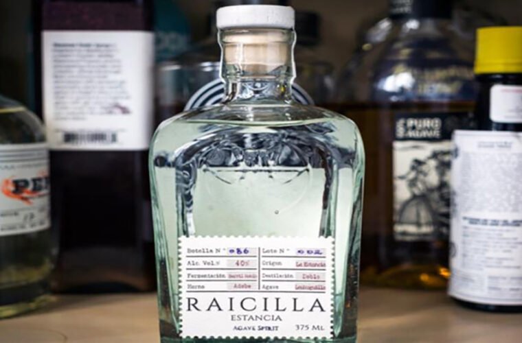 NORMA OFICIAL RAICILLA