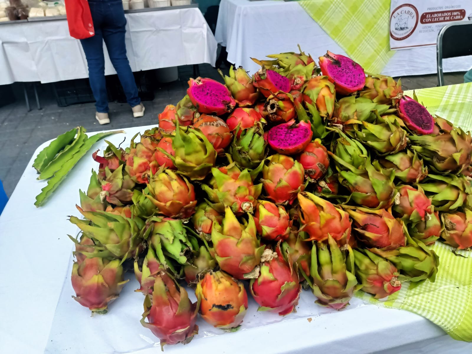pitahaya jalisco