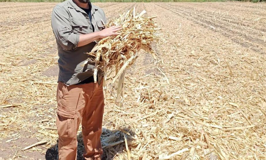 agricultura regenerativa BioANG