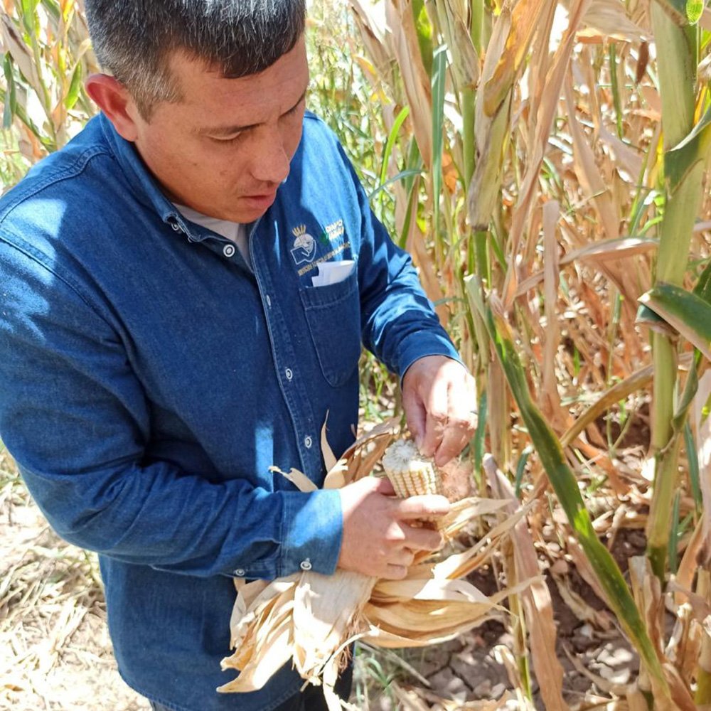 agricultura regenerativa BioANG 1