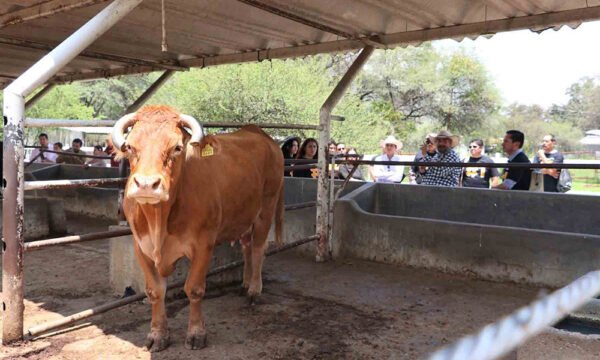 ciamat rancho escuela uag 1