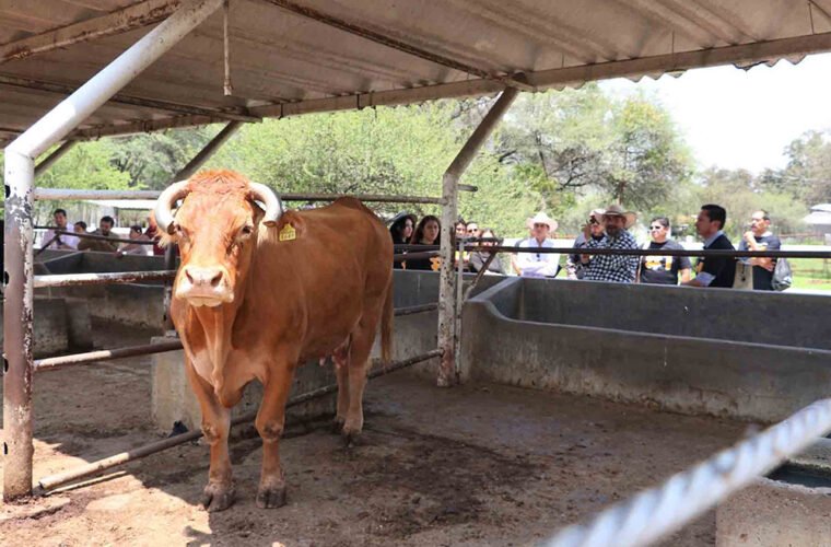 ciamat rancho escuela uag 1