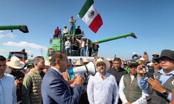Jalisco agricultores maíz