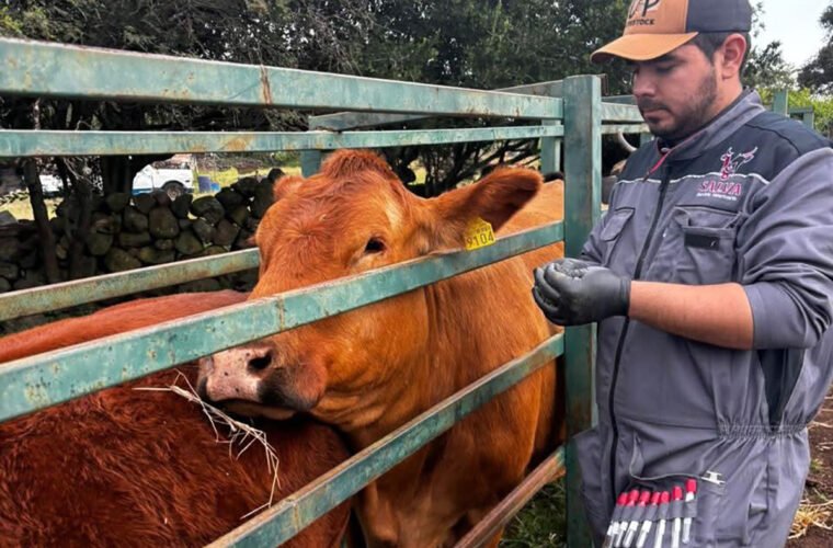 brucelosis muestreo Degollado
