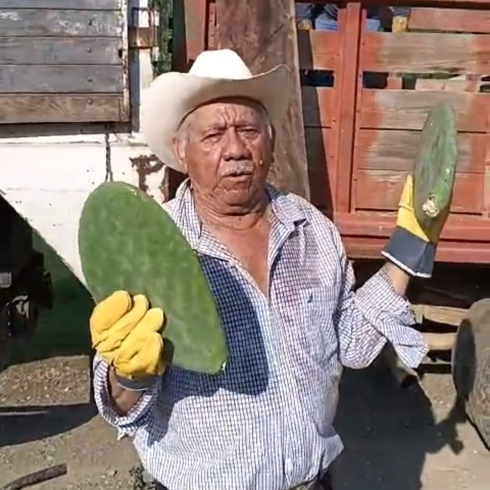 nopal fomento 2