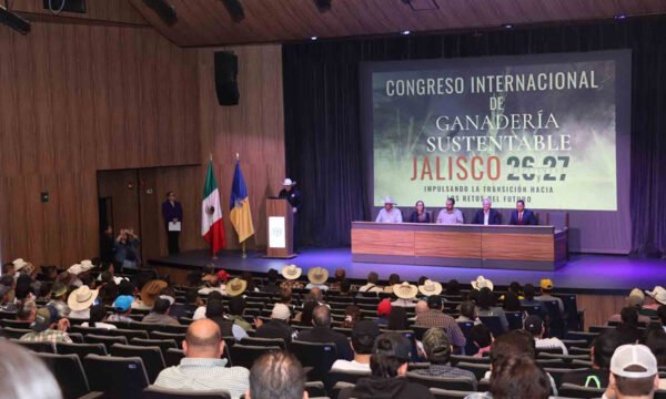 sustentabilidad ganadería UAG