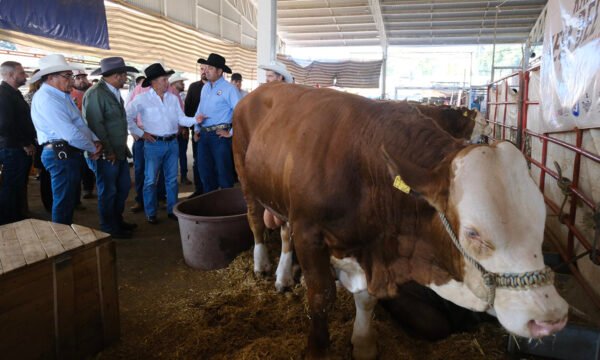 PABLO LEMUS EXPO GANADERA JALISCO
