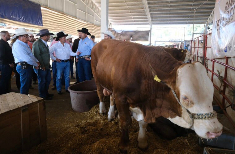 PABLO LEMUS EXPO GANADERA JALISCO