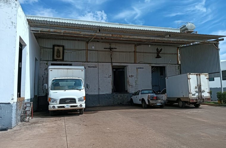 TIF rastro de Tepatitlán