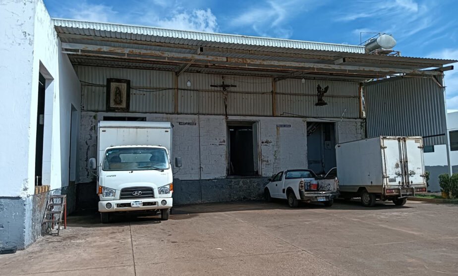 TIF rastro de Tepatitlán