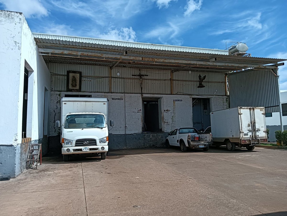 TIF rastro de Tepatitlán