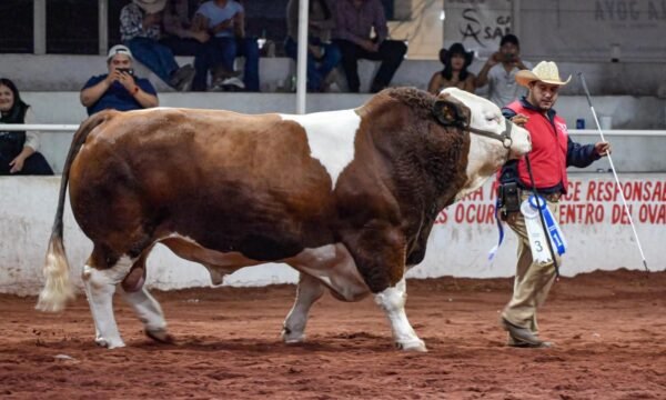 Expo Ganadera Jalisco 2025