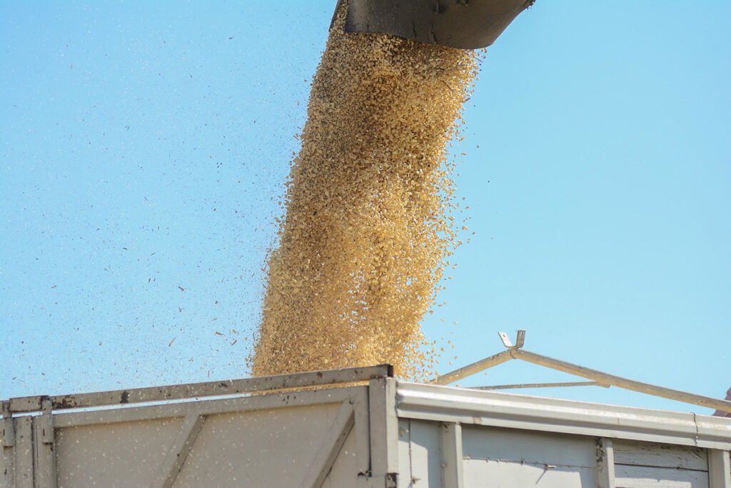 maíz blanco sader jalisco apoyo 2025 1