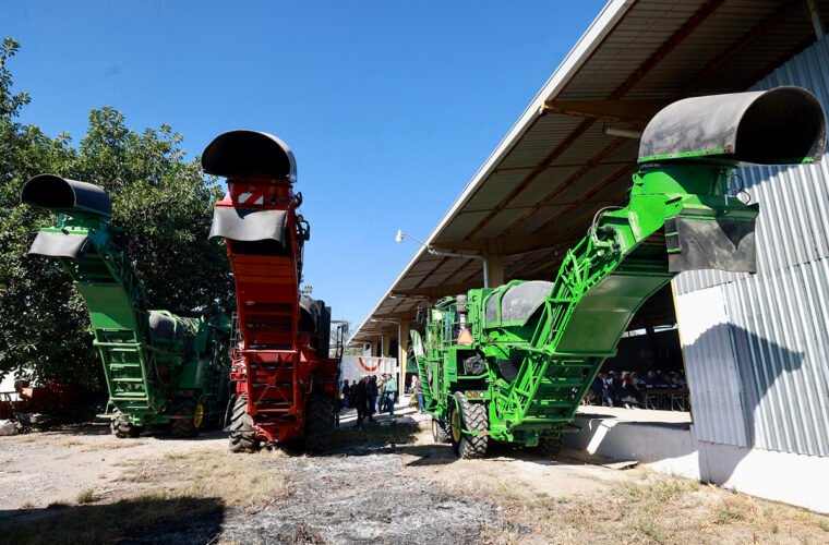 cosechadoras de caña en verde jalisco