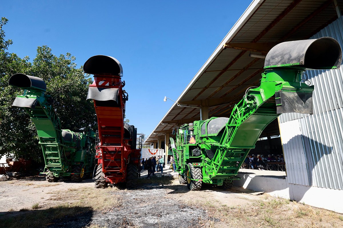 cosechadoras de caña en verde jalisco