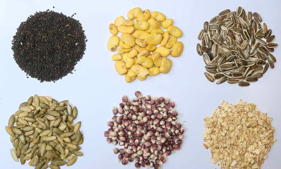 semillas resistentes a sequía unam