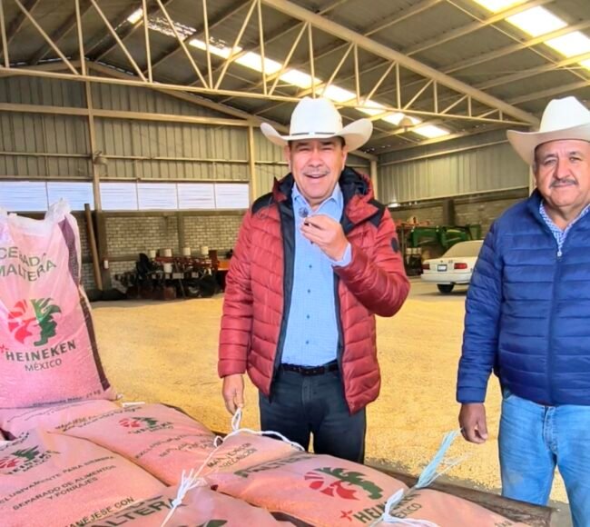 cebada Xonotli Guanajuato