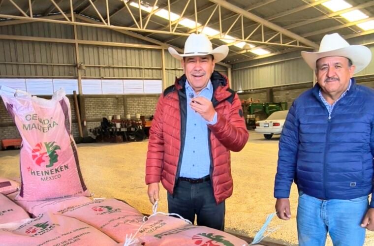 cebada Xonotli Guanajuato