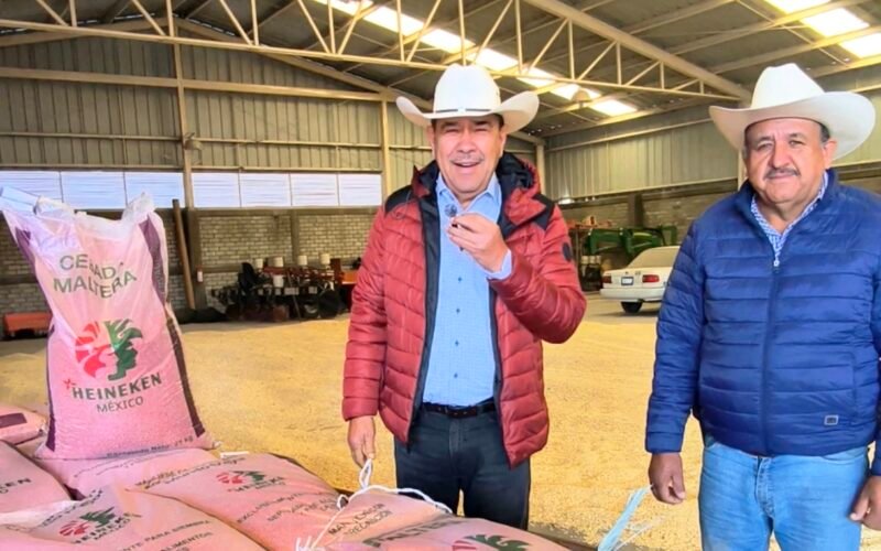 cebada Xonotli Guanajuato