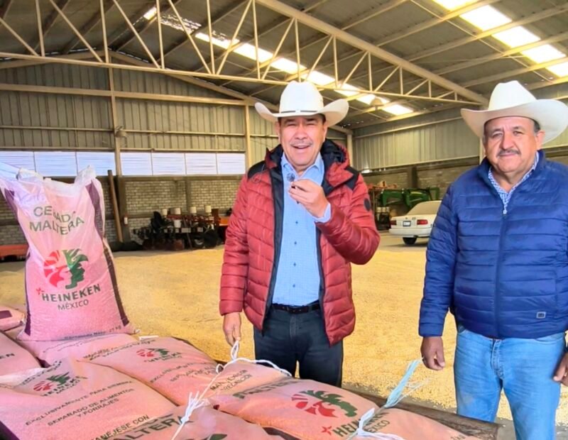 cebada Xonotli Guanajuato