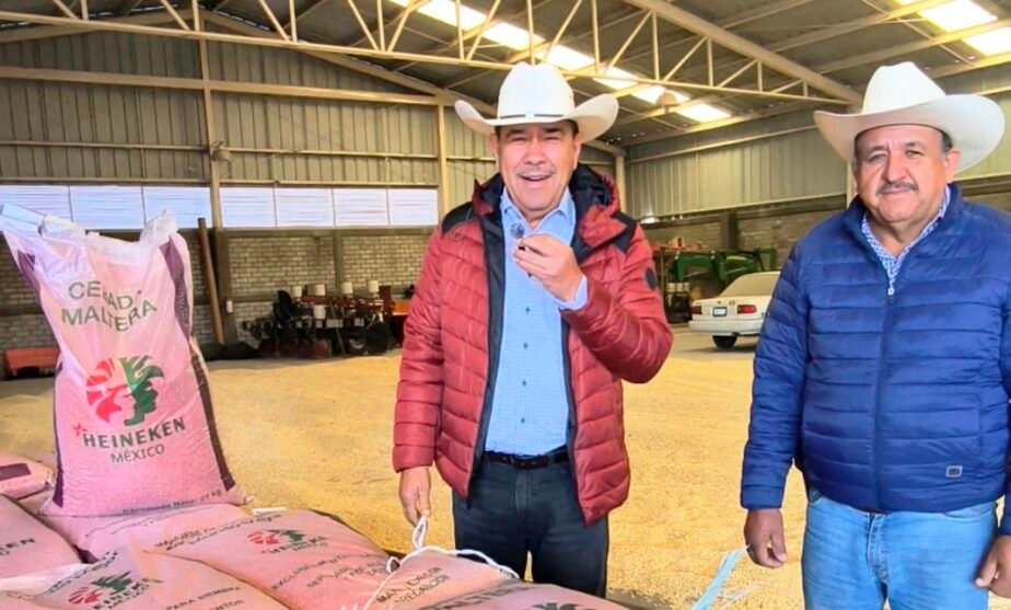 cebada Xonotli Guanajuato