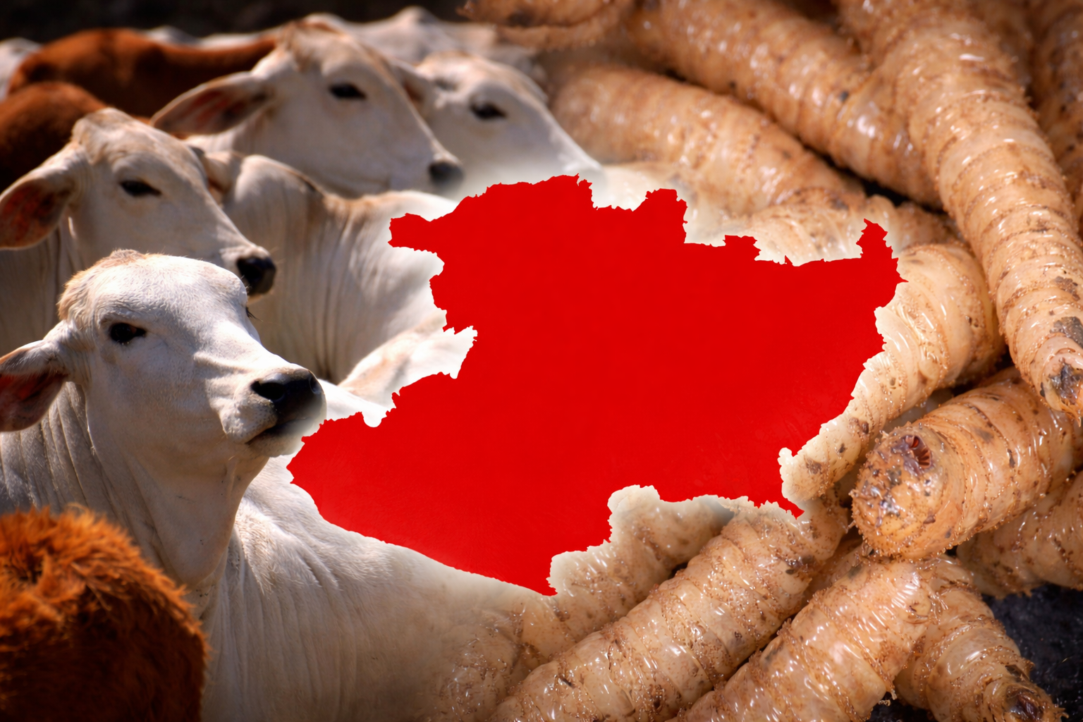 Michoacán gusano barrenador del ganado