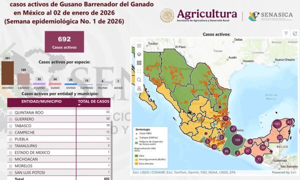 Michoacán gusano barrenador del ganado