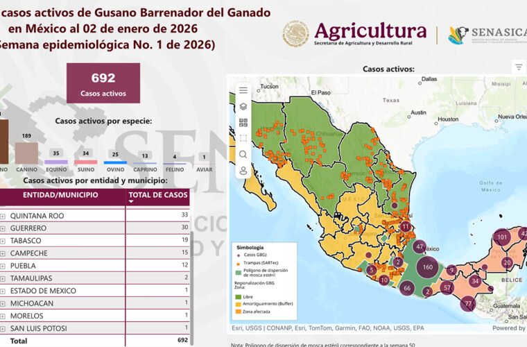 Michoacán gusano barrenador del ganado