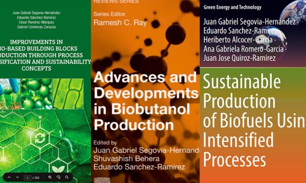 pata de maíz biocombustible Ug