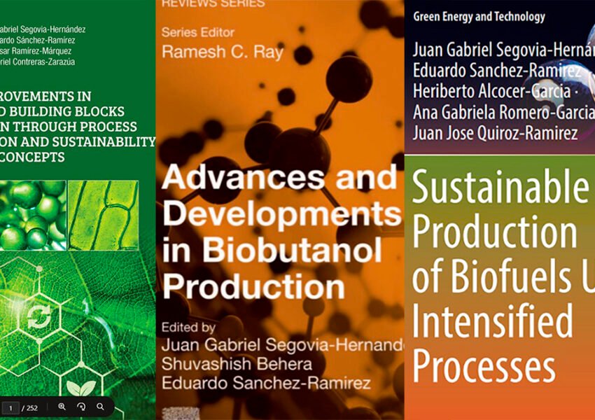 pata de maíz biocombustible Ug