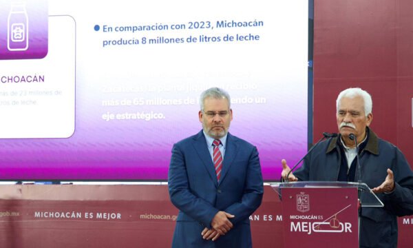 Michoacán gusano barrenador del ganado